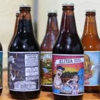 Cerveza artesanal ELIXIA 500ml